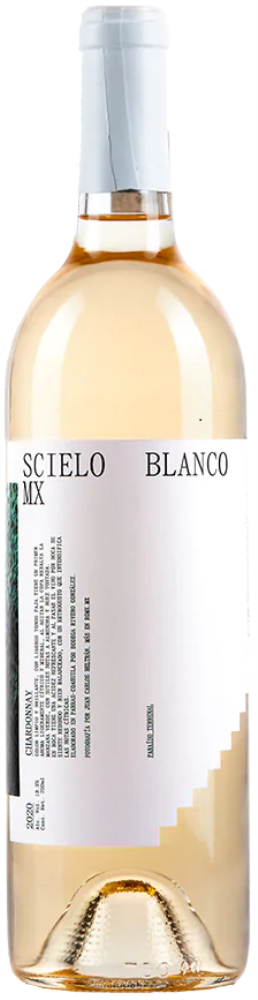 Scielo Blanco 2022