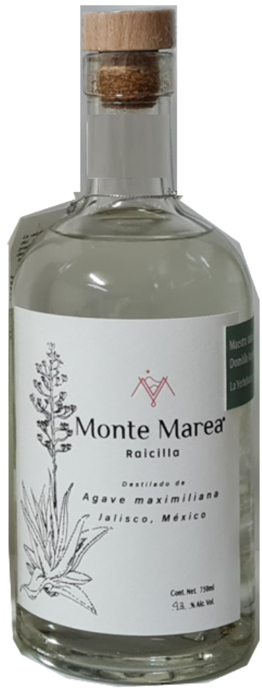 Monte Marea Raicilla Agave Maximiliana