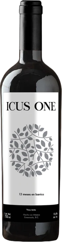 Icus One 2021