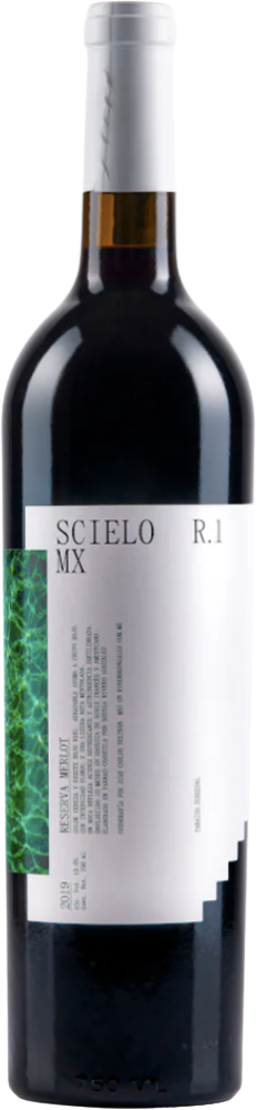 Scielo Reserva Merlot R1 2022