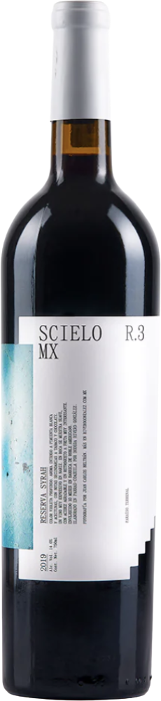 Scielo R3 Syrah 2022