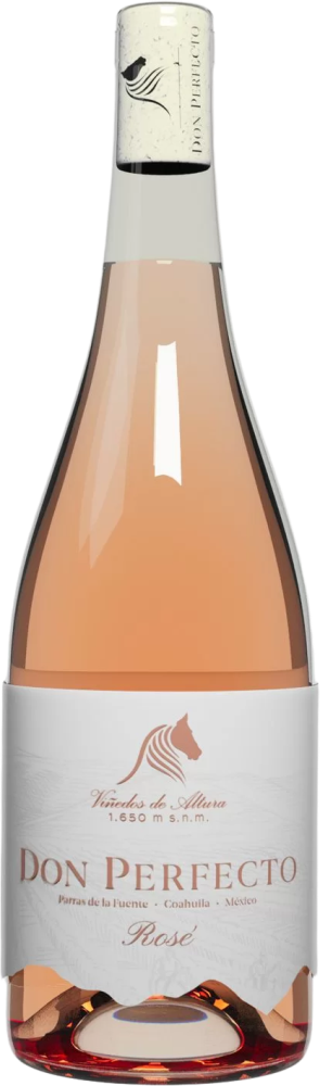Don Perfecto Rose 2025