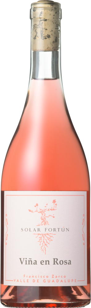 Solar Fortun La Viña En Rosa 2024