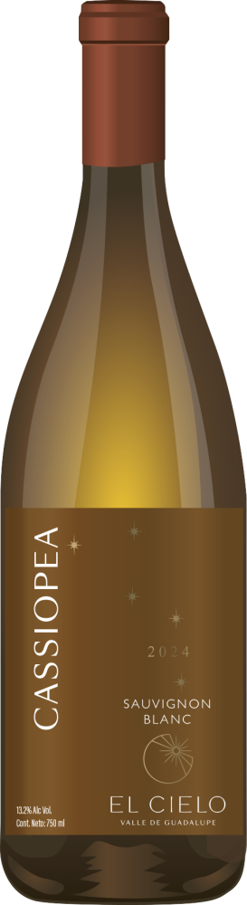 Cassiopea Blanco 2024