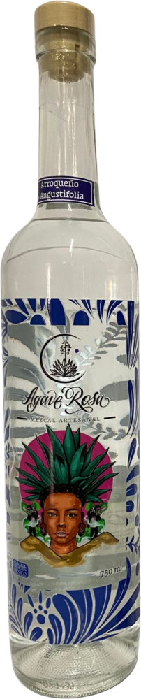 Agave Rosa Maguey Arroqueño y Espadín